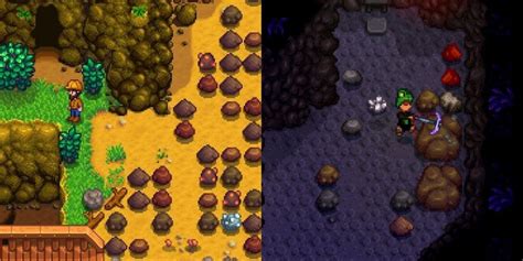 stardew valley stone farming.